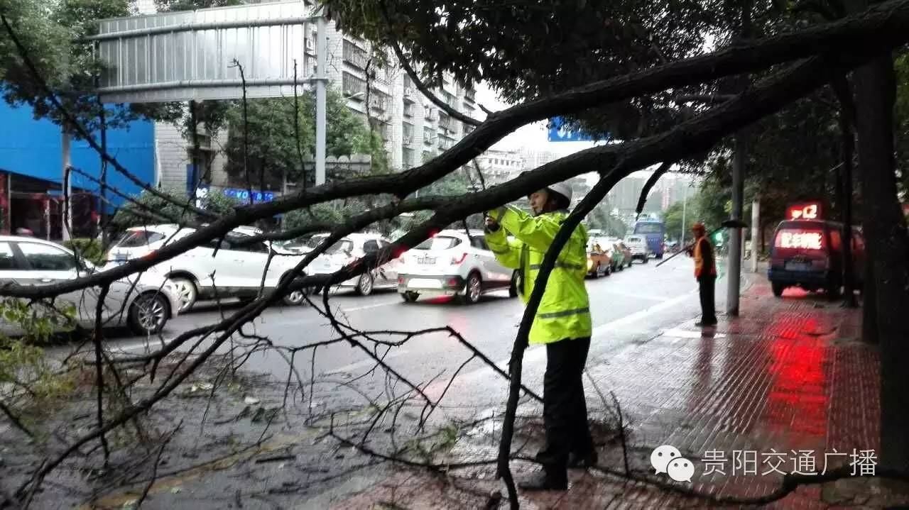 看图猜成语月光下一只手折断一根树枝(2)