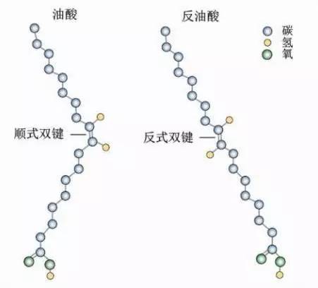 不饱和脂肪酸的分子空间结构大多是氢在双键的同侧,而反式脂肪酸的