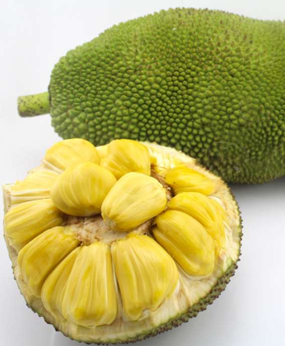 海南特产之南国食品菠萝蜜干