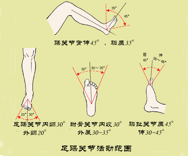 垫片坏了怎么修?——说说半月板损伤(下)