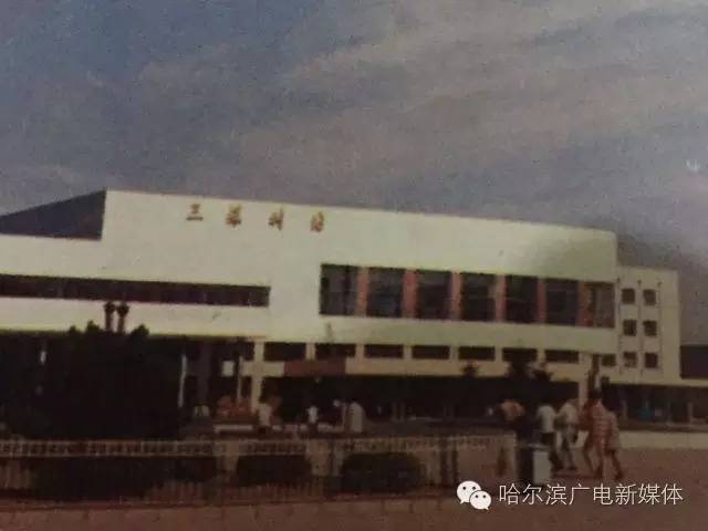 哈尔滨"三棵树":过去,现在与未来