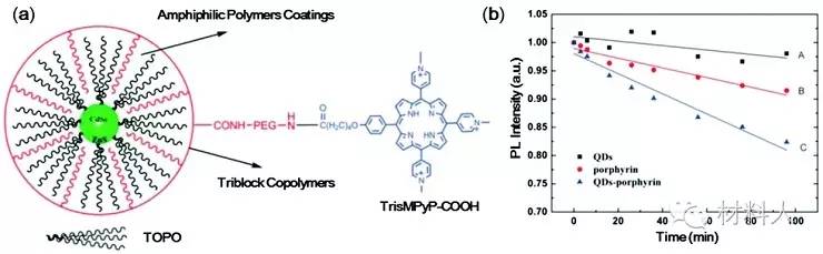 (a)两亲性聚合物包覆的cdse/zns量子点与水溶性的光敏剂卟啉的