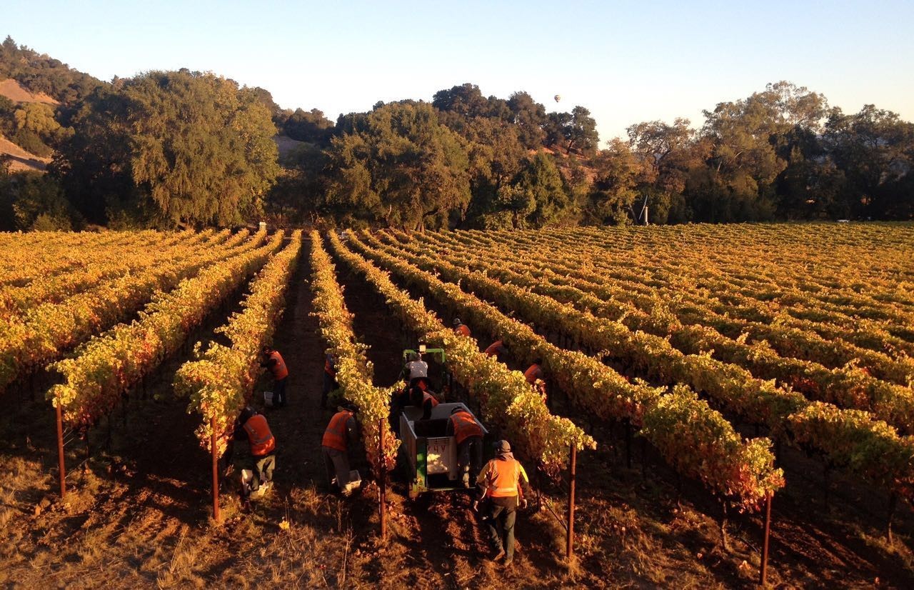 【庄园传奇】 纳帕里弗森庄园trefethen family vineyards,一脉相承