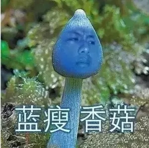 香菇,蓝瘦在这里,香菇. 想哭,难受在这里,想哭. 责任编辑