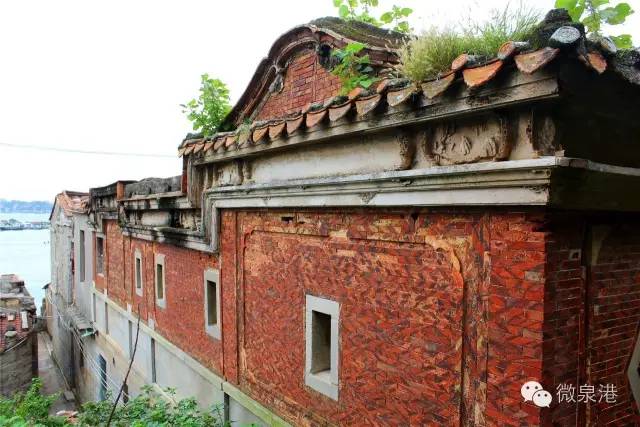 【遇见泉港】肖厝渔村,面朝大海,只待花开