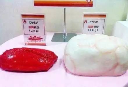 5公斤)的脂肪和2.5公斤的肌肉. 重量一样,但脂