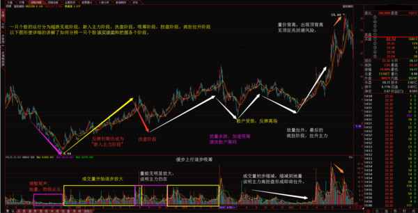 利好消息:兴业矿业 名家汇 煌上煌 四川双马