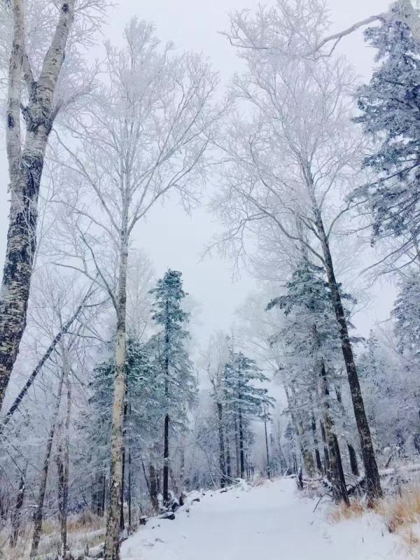 东北雪乡大雪美景