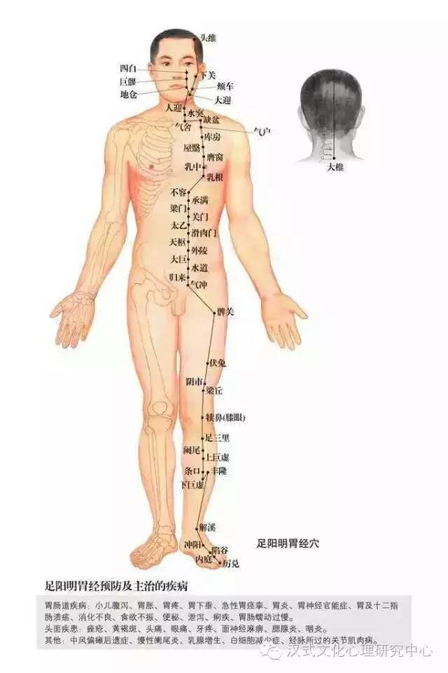 汉式养生|人体穴位图:十四经穴高清图解