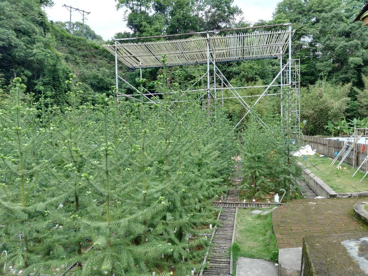 学子专访 || 她在土壤学国际核心期刊发表学术论文