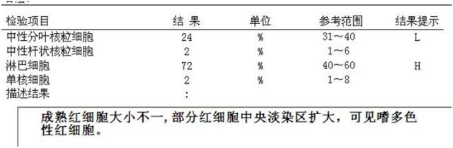 (外周血涂片) (血沉) 腰穿部分结果