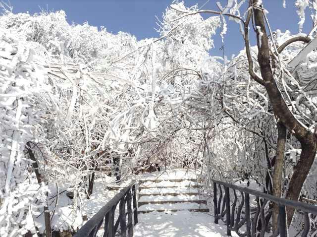 冬季看雪景来湖南张家界,门票只需136