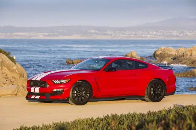 红色眼镜蛇-2016 福特mustang shelby gt350