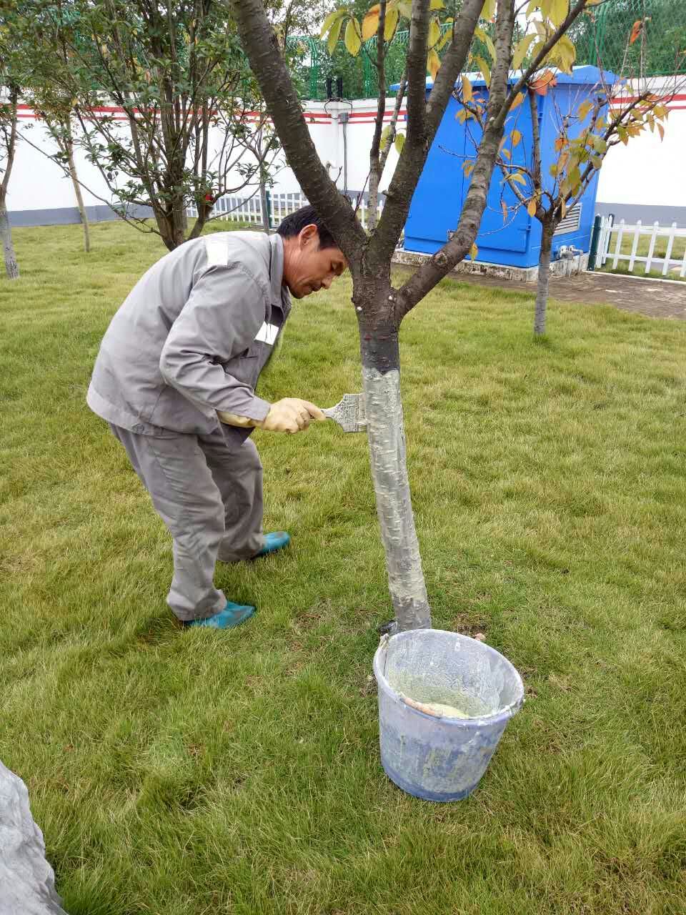 冬季城市园林绿化养护措施好养护