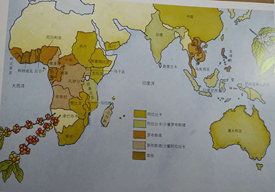 咖啡生产分布于哪些国家?