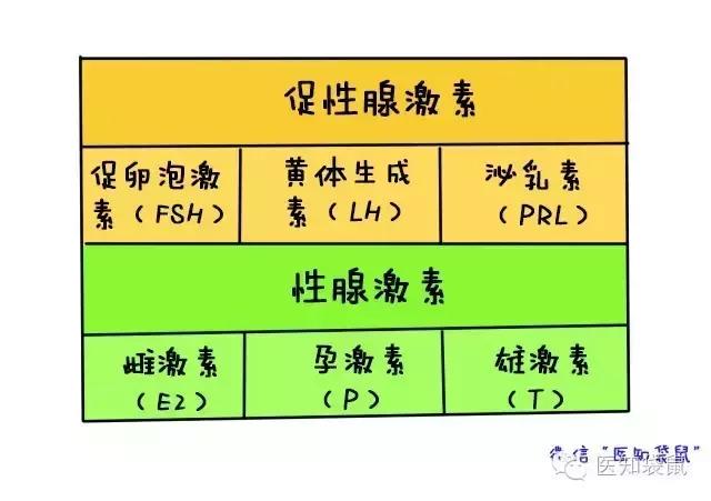 能不能怀孕抽血就知道内分泌检查这么神奇