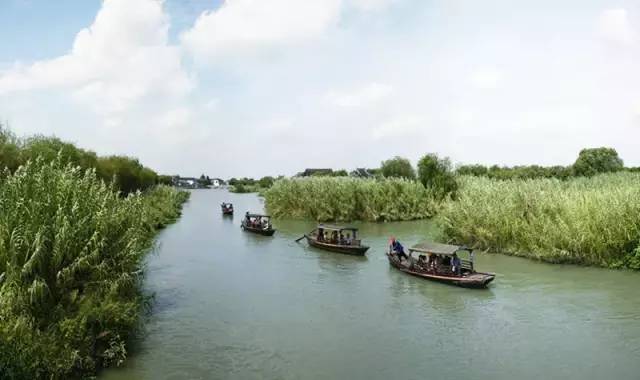 而,来常熟就必定要去 沙家浜 因为这里 除了,美景,美食和经典的红色