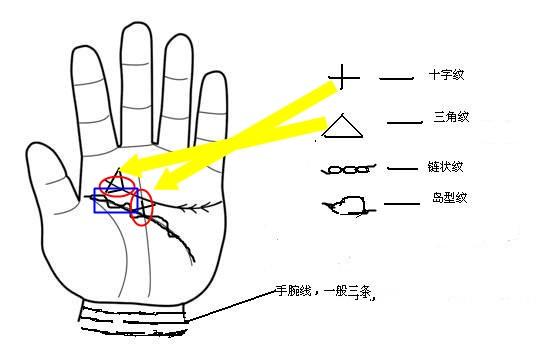 1,岛子形符号:岛纹手掌上的主要纹路上出现中空的记号,称为岛纹,岛纹