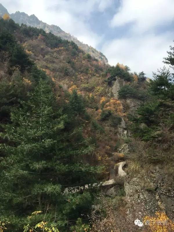 大墩峡曲谱_大墩峡景区