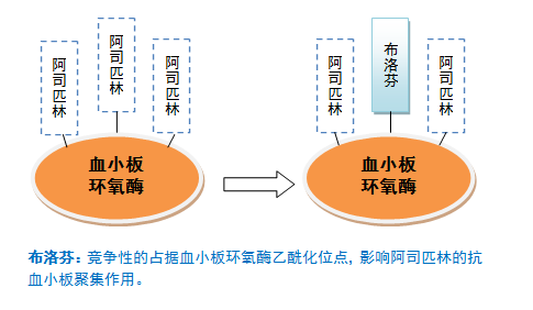 建议首选对乙酰氨基酚:对乙酰氨基酚不影响阿司匹林的抗血小板聚集