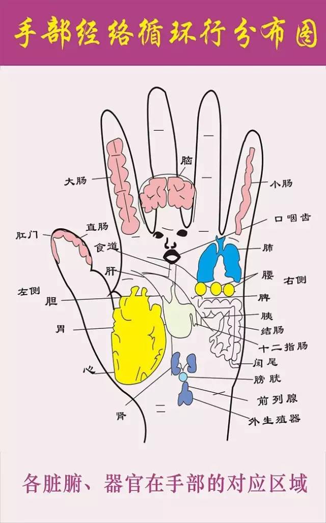 十指连心,平常不妨动动你的手指按一按,小动作,却有惊人大效果哦!