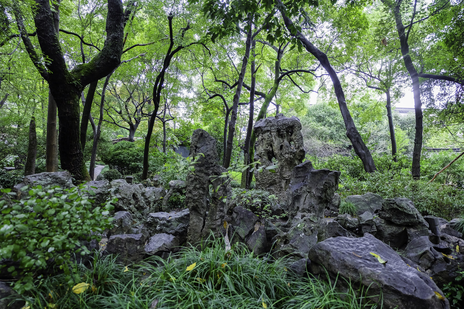 低处就是幽谷,这个景点被称为幽谷听琴,极富诗意.