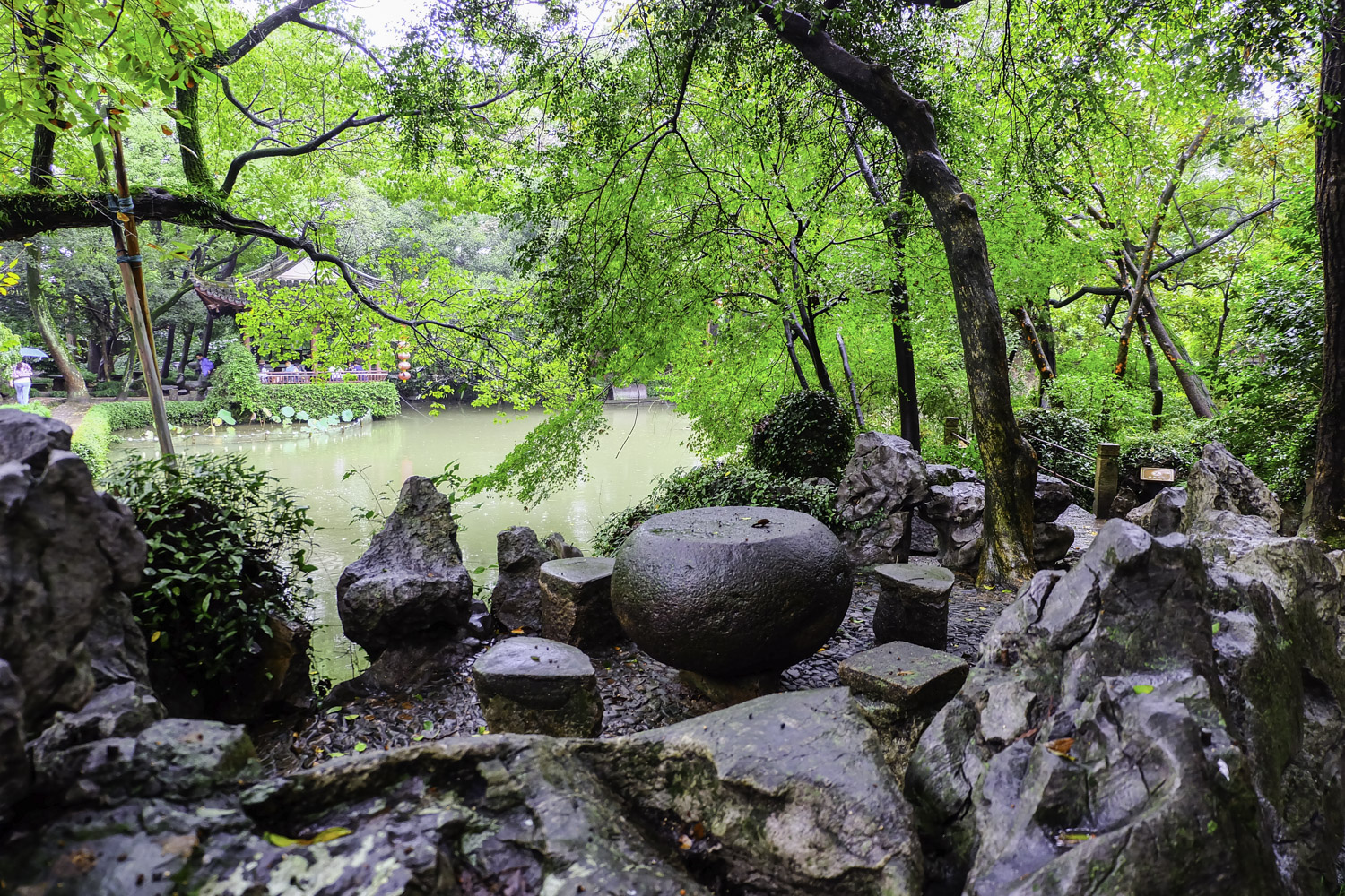 雨后漫步绮园,感受江南园林的静谧