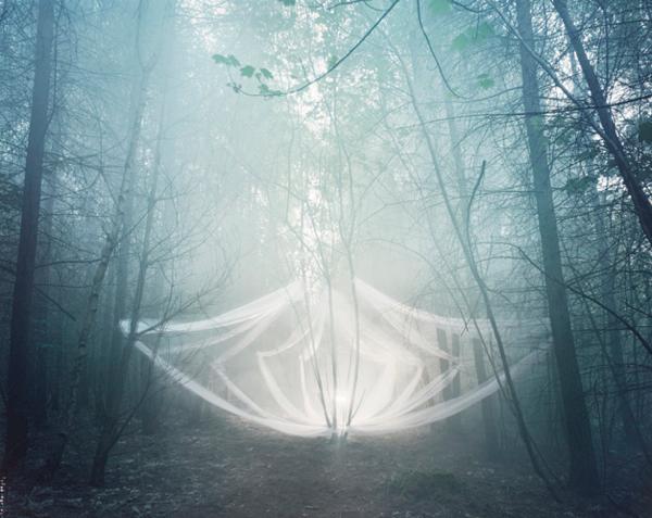 迷幻森林总是给人一种神秘,虚幻,飘渺的感觉,非常漂亮.