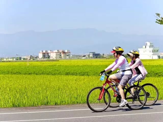 许多民宿还提供免费自行车,根据天气放置可随便取用的雨伞等等