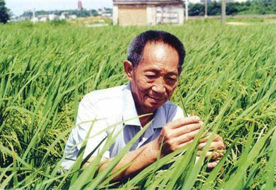 人口粮食_节约粮食手抄报(2)