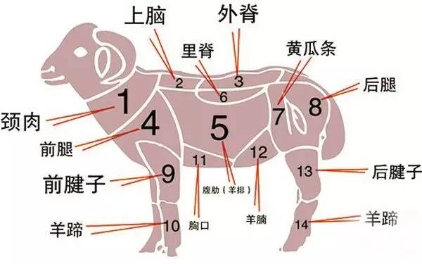 留心着下面的小细节,你才算享受到极致: ▲ 羊肉部位分割示意图.