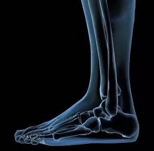 事实上,脚是全身健康的"放大镜", 它上面有26块骨头,33个关节,100多条