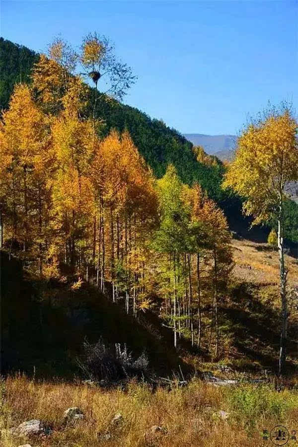 深秋来五台山,竟然美成这样!