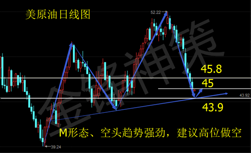 金锋gdp