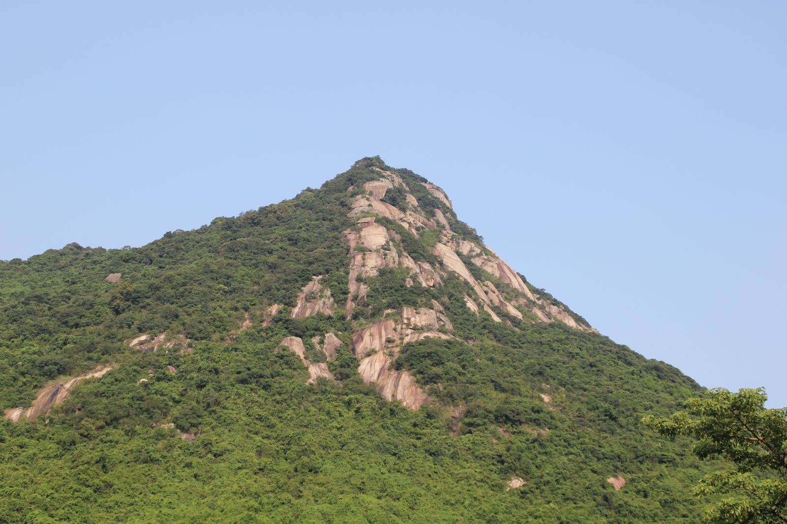 深圳园山风景区,深圳都市的后花园!