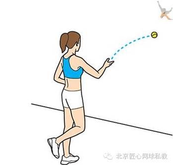 网球发球抛球力量的生物力学解释