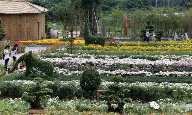 收藏!泉州鲜花港怎么去?这张地图告诉你详细