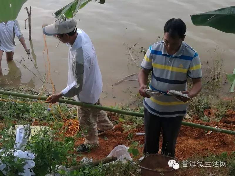 澜沧县体育总会,澜沧县钓鱼协会承办;华能集团澜沧江糯扎渡电站,澜沧