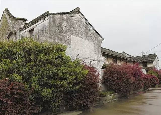 慈溪-龙山镇龙山所村1根据村庄历史文化资源,现状文化遗存价值和规模