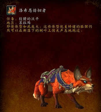 魔兽世界狐狸坐骑怎么得 7.1狐狸坐骑任务怎么接