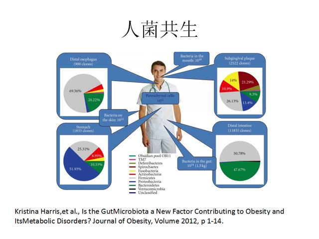 生活在人体肠道内的细菌为"肠道菌群.