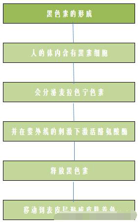 色素的原理_激光治疗色素病变原理(3)