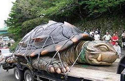 两千年的西汉古墓 竟挖出了惊人神龟真是千年王八万年龟?