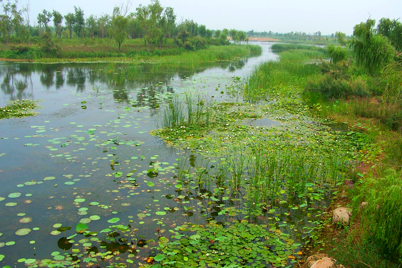 山东十大湿地之济西国家湿地公园秋游赏怀