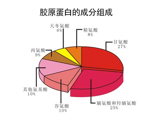 跑者补充蛋白质,直接喝胶原蛋白粉好吗?