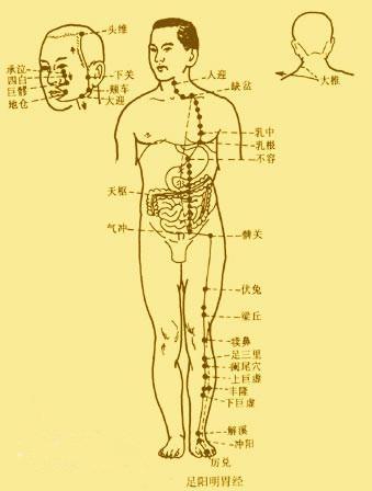 程氏人口_人口普查(3)