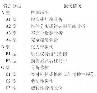 表   ao 脊柱内固定学会胸腰椎骨折分型