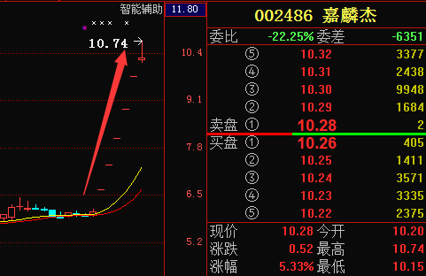 嘉麟杰(002486):五涨停后今日股价有所降温!