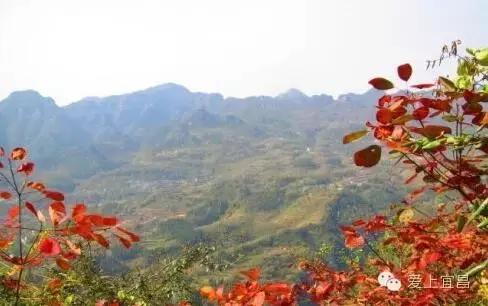 龙山县瓦房乡有多少人口_龙山县洛塔乡列坝村(3)