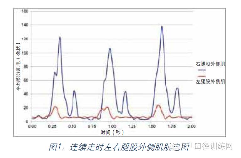 国际级青年竞走运动员腿部不对称性的生物力学分析